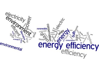 Energy Efficiency