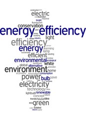 Energy Efficiency