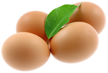 oeufs feuille fond blanc