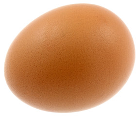 oeuf fond blanc