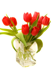 Beautiful red tulips in transparent glass vase isolated on white