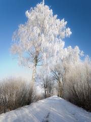 Winter road and landscape with frosted trees and rime