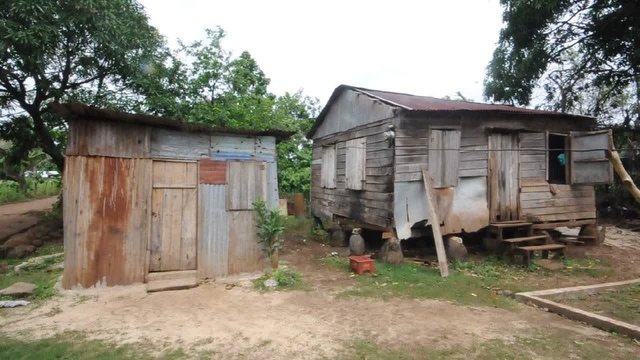 two  houses  jungle corn island nicaragua central america