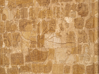 Queen Hatshepsut and sacred cow relief