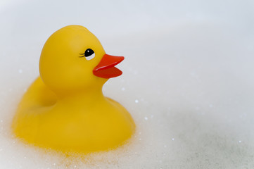Swimming rubber duck in bubble bath