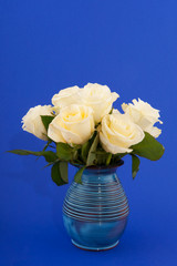 white roses on blue