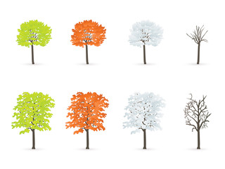 trees in season