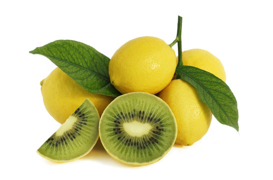 Limoni transgenici