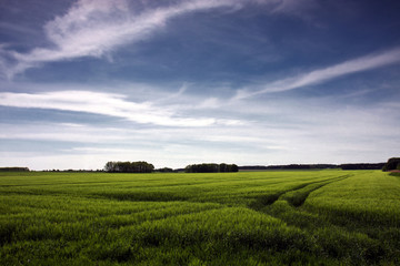Landschaft in Brandenburg