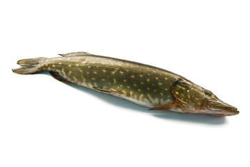pike