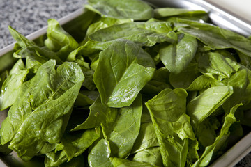 Perfect baby spinach greens with water drops