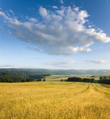 Fototapeta premium beautiful summer landscape and sky