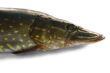 pike