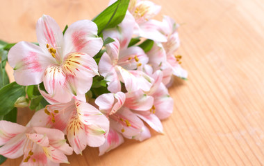 Fototapeta na wymiar Beautiful pink flowers with copy space