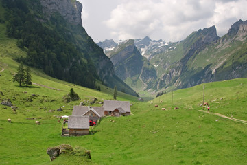 Obraz premium Hiking in swiss alps