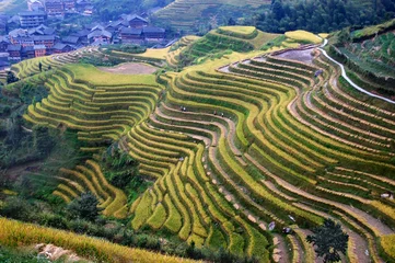 Papier Peint photo Chine Village et Terrasses