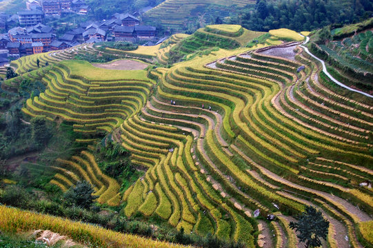 Fototapeta Village and Terraces