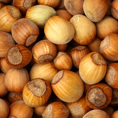 shelled hazelnut background