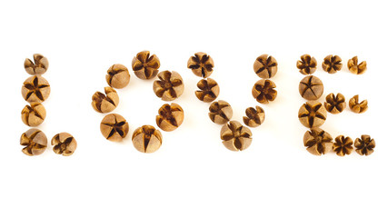 Small Wooden Shells spell Love