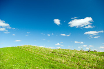Beautiful Green Meadow with white clouds