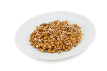 wheat