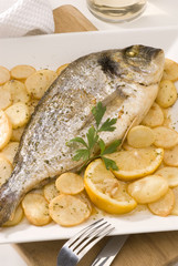 Spanish cuisine. Baked gilthead.