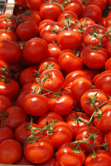Tomates du marché