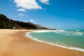 Beautiful beach with palm trees at Praia do Amor Brazil