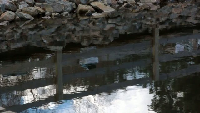 reflets dans l'eau