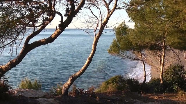 AMANECER EN LA COSTA