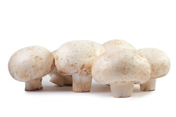 Champignon mushroom macro isolated