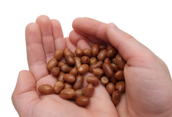 Child's hand with peanuts