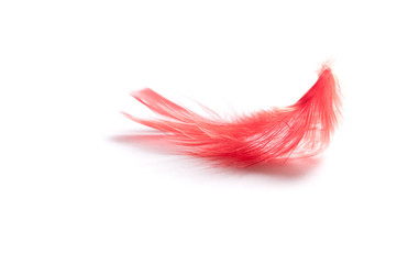 red  feather