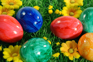 Ostereier in Blumenwiese