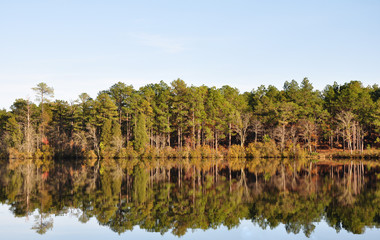 Reflection