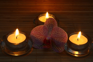 Kerzen und Orchidee