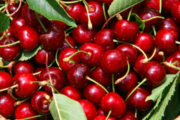 beautiful and tasty cherries