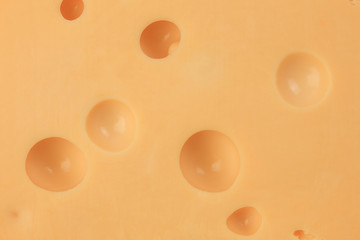 macro shot of cheese