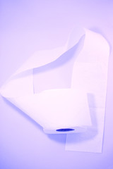 toilet paper isolated on the light background