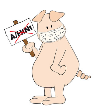Pig with face mask and A/H1N1 placard in the hand.