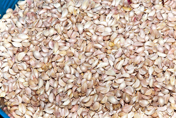 fresh garlic at the flower market in Bangkok