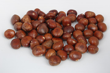 chestnut