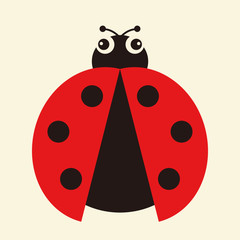 Vector illustration of a ladybug