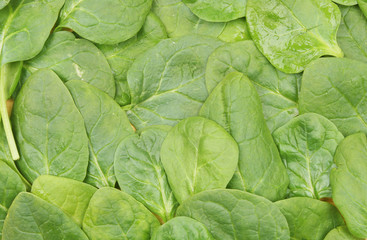 Spinach