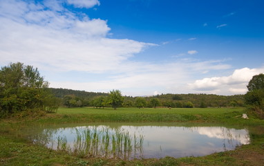 Fototapeta na wymiar Pond on countryside