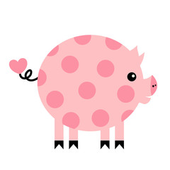 Vector pig