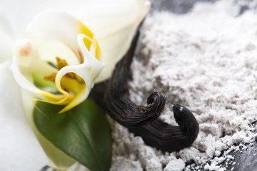vanilla beans with aromatic sugar and flower