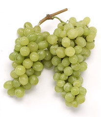 Uva bianca grappoli