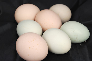 eggs