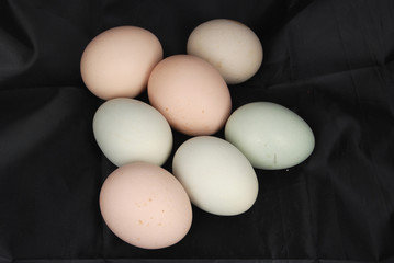 eggs